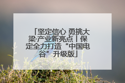 坚定信心 勇挑大梁·产业新亮点丨保定全力打造“中国电谷”升级版